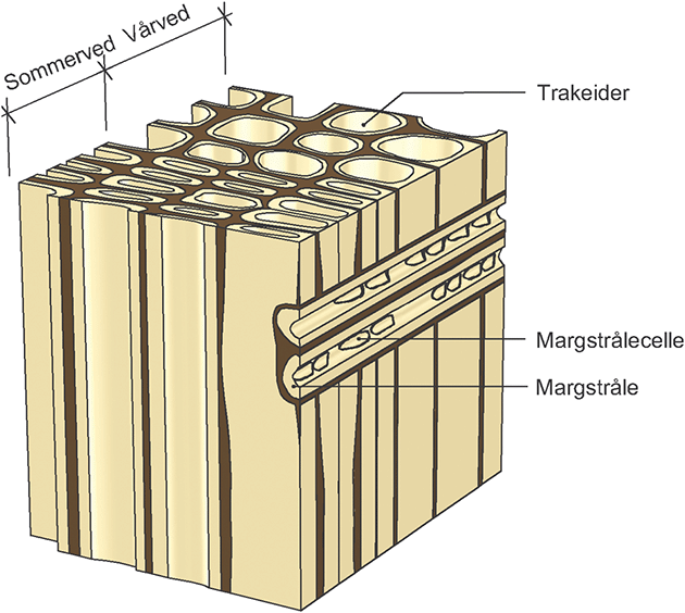 Fig. v